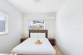 Little Paradise #6 - Trupial