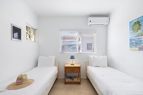 Little Paradise #6 - Trupial