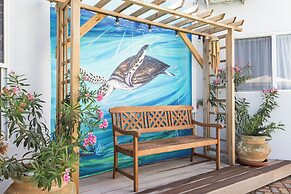 Little Paradise #3 - Shoco