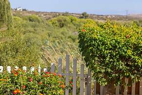 Ayia Napa Sycamore Seaview