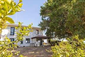 Ayia Napa Sycamore Seaview