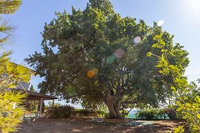 Ayia Napa Sycamore Seaview