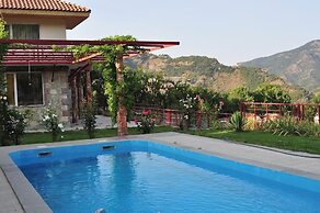 Gosh Dream House