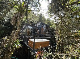 Laguna Glamping