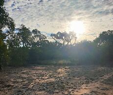 Orchid Lane Cottages