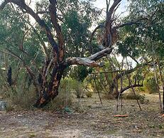 Orchid Lane Cottages