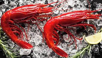 Openspace A Villa Serroni Mazara