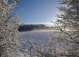 Cottage in De Bult in Natural Surroundings