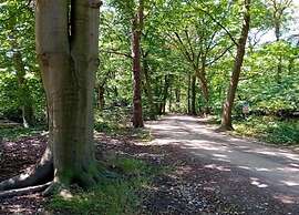 Cottage in De Bult in Natural Surroundings