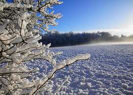Cottage in De Bult in Natural Surroundings