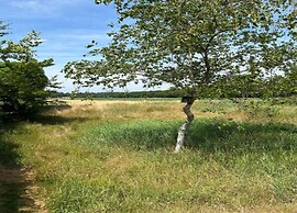 Cottage in De Bult in Natural Surroundings