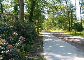 Cottage in De Bult in Natural Surroundings