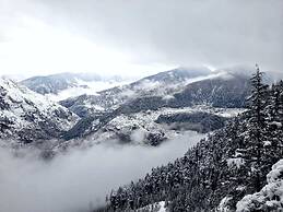 Vansh Green View Homestay