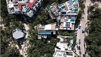 Azalea by Zamá Homes