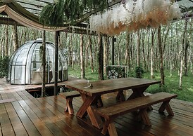 Timber Society Boutique Hideaway