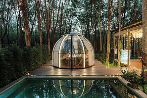 Timber Society Boutique Hideaway