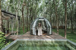 Timber Society Boutique Hideaway