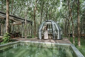 Timber Society Boutique Hideaway