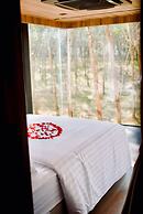 Timber Society Boutique Hideaway