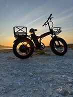 Whale Shark Boutique