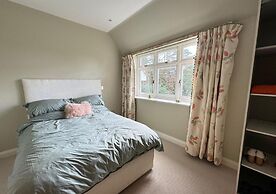 Pegasus in Newmarket