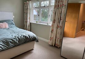 Pegasus in Newmarket