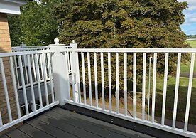 Pegasus in Newmarket