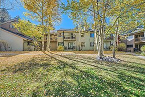 1147 Flying Dutchman 1 Bedroom Condo