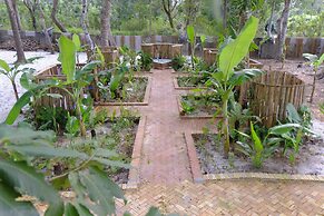 Hang Sói Forest Village