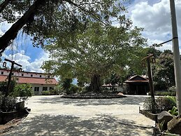 Hang Sói Forest Village