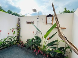 Hang Sói Forest Village