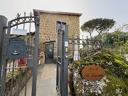 Le Terrecotte