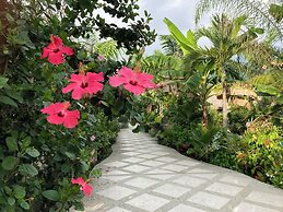 Hotel La Costa International