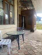 Hostel lion