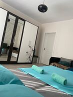 Hostel lion