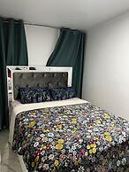 Palm Hamilton BackPackers