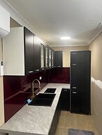 Palm Hamilton BackPackers