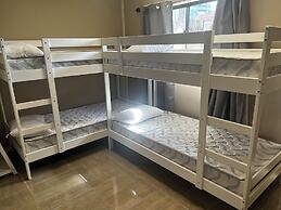 Palm Hamilton BackPackers