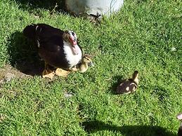 7 Person Holiday Home in Vagland