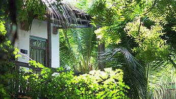 Stop And Go Lang Chai Bau Trang