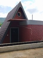 Dinosaur Resort