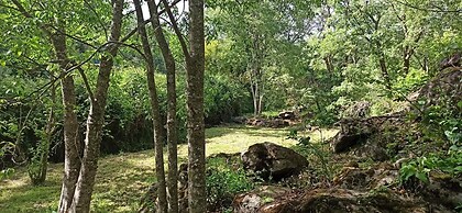 Finca La Josa, Candeleda, Gredos, Vutav397