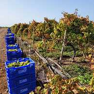 Finca La Calabacera Casa Azul