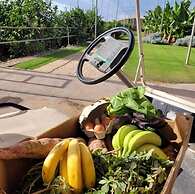 Finca La Calabacera Casa Azul