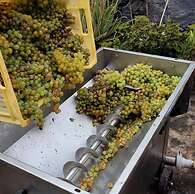 Finca La Calabacera Casa Azul