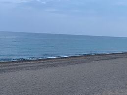 Ground Floor With Garden