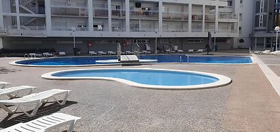 517 · Golden Coast Royal