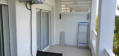 517 · Golden Coast Royal