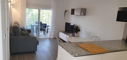 517 · Golden Coast Royal