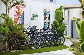 Luminoso Bilocale Vicino Al Mare